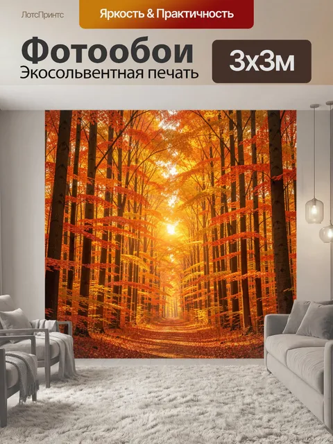 Фотообои Осенний лес с солнечной тропой