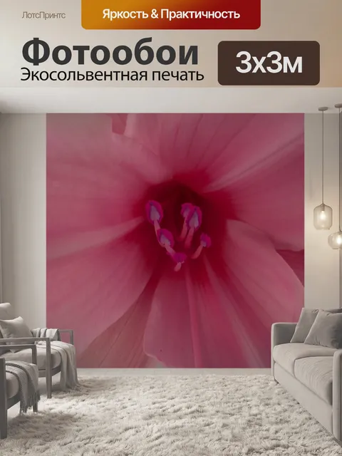 Фотообои Тычинка розовый цветок
