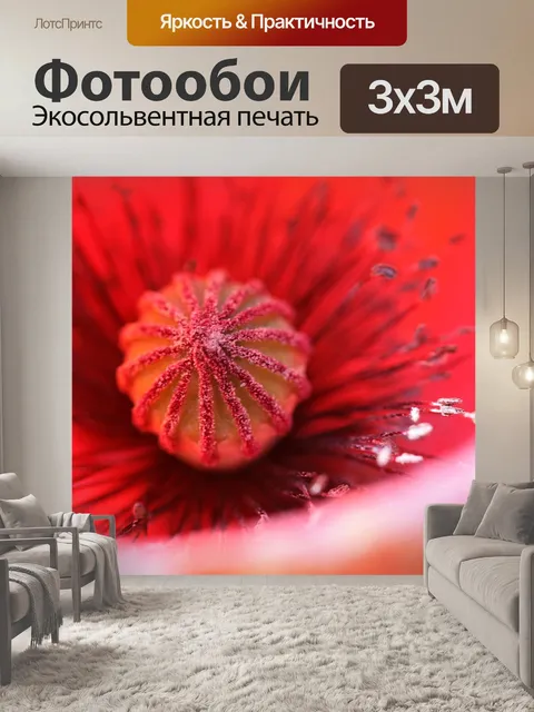 Фотообои Мак