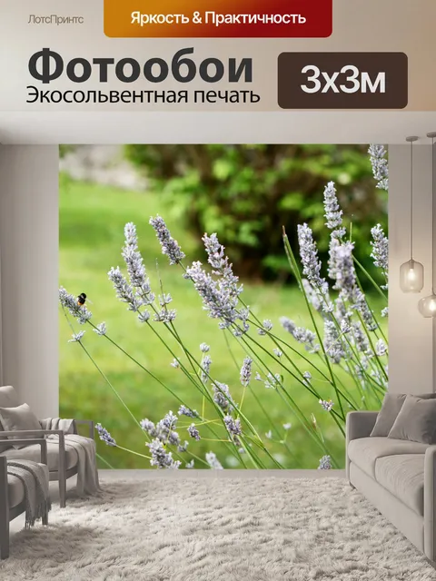 Фотообои лаванда