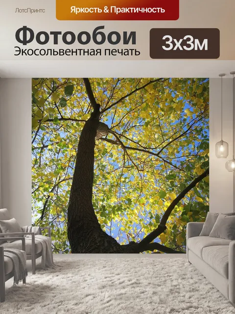 Фотообои Дерево