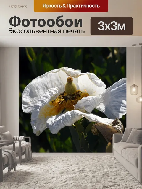 Фотообои Матилия Маки