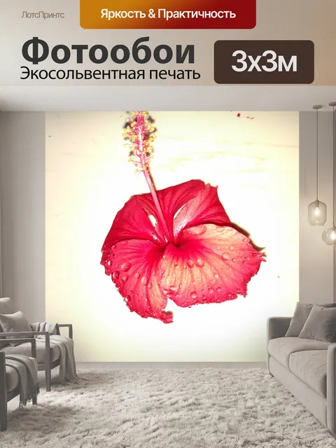 Фотообои Цветок гибискуса