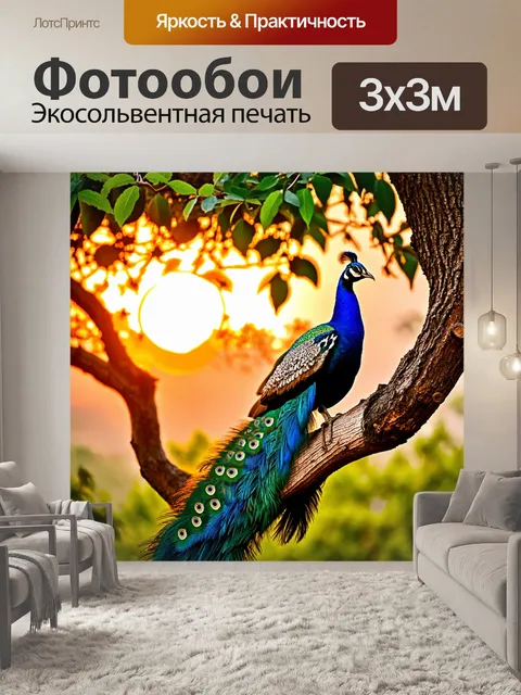 Фотообои павлин, сидящий на ветке большого дерева, наблюдает за заходящим солнцем, его перья длинные и…