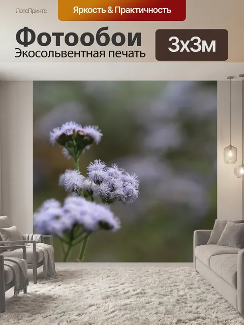 Фотообои Фиолетовые цветы