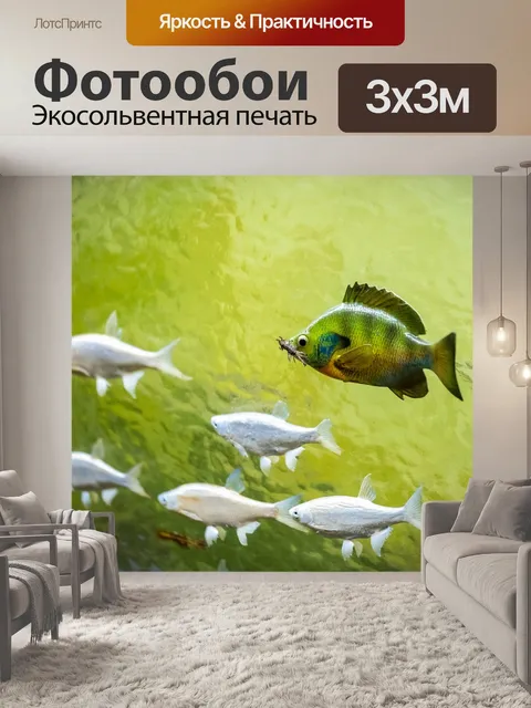 Фотообои Диорама
