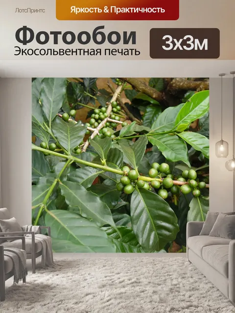 Фотообои Кофейное хозяйство