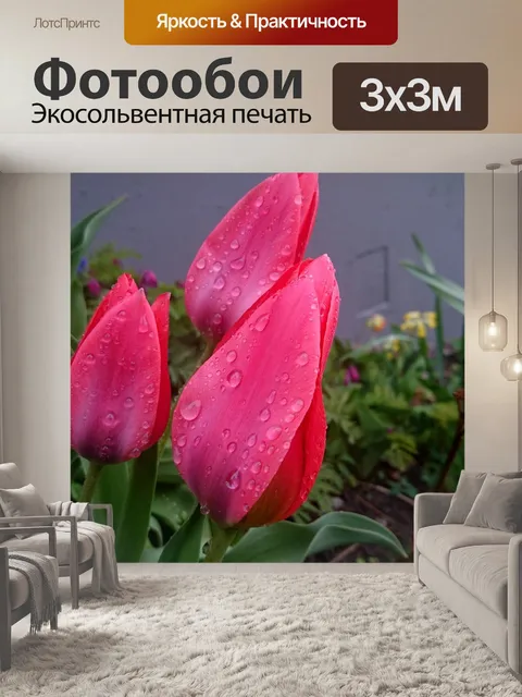 Фотообои Тюльпаны