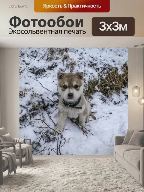 Фотообои Щенок
