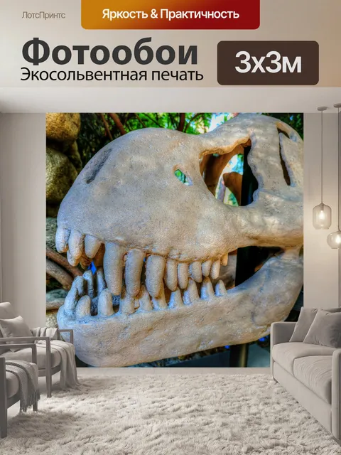 Фотообои Череп динозавра
