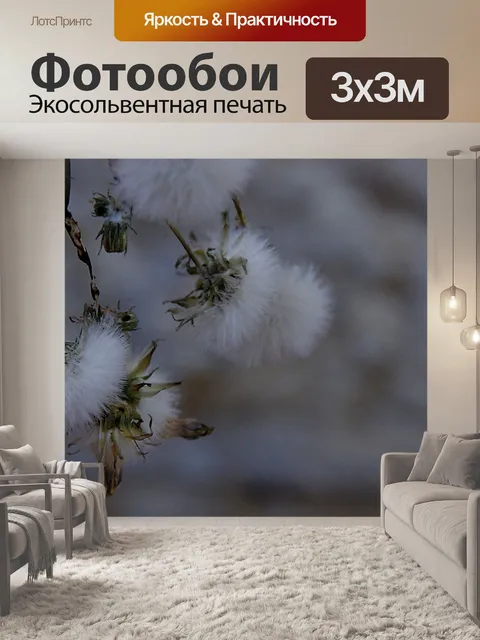 Фотообои Крупный план одуванчиков