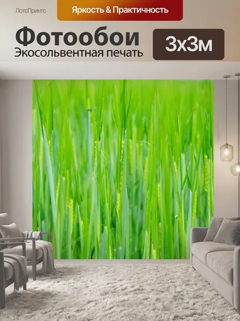 Фотообои Пшеничное поле