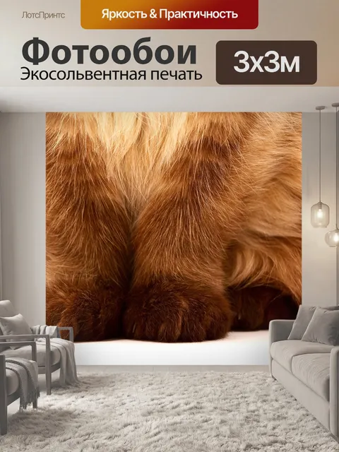 Фотообои Бархатные лапы