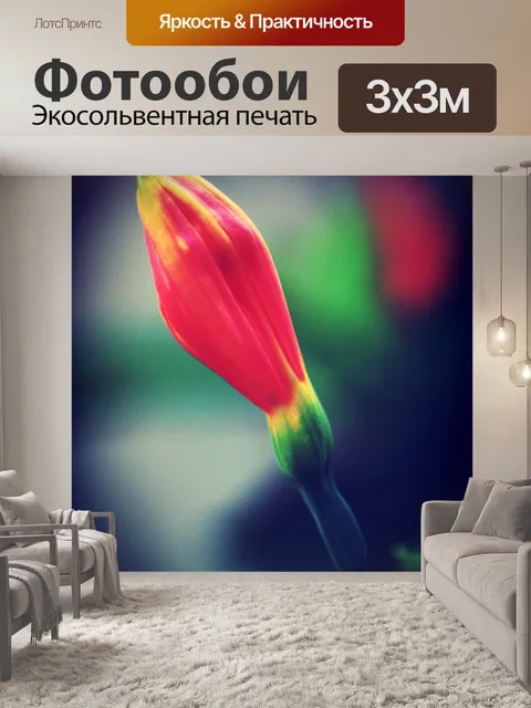Фотообои Красивый цветок
