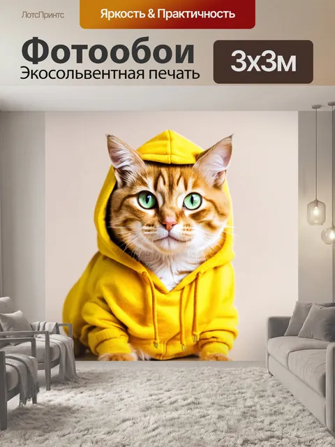 Фотообои Кот в капюшоне, сидящий с выразительным взглядом
