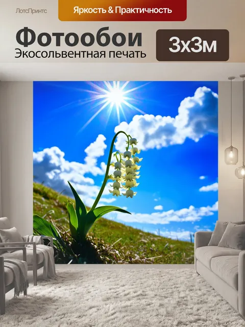 Фотообои ландыши тянутся к солнцу