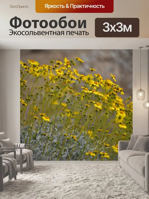 Фотообои Желтые полевые цветы