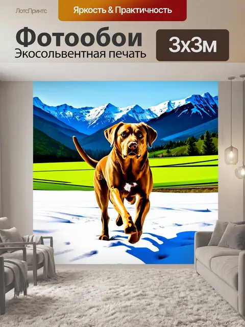 Фотообои лабрадор-ретривер на фоне гор, с морозным воздухом и зелеными полями, бегущий свободно по заснеженной земле