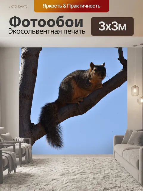 Фотообои Белка на дереве Брач
