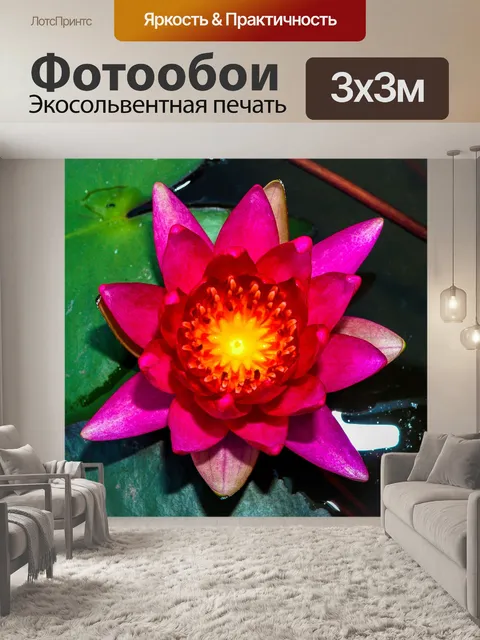 Фотообои Цветок лотоса