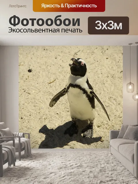 Фотообои Животное