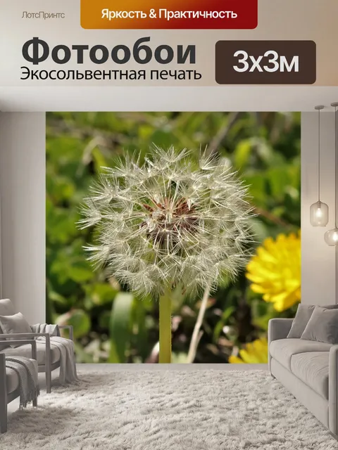 Фотообои Голова семени одуванчика крупным планом