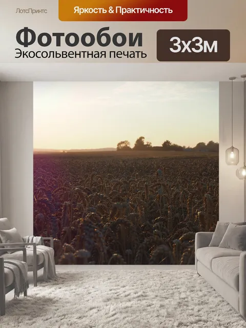 Фотообои Вечернее солнце