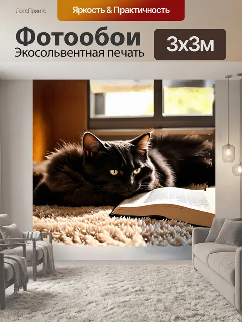 Фотообои уютный черный кот с густой шерстью, свернувшись калачиком на мягком ковре