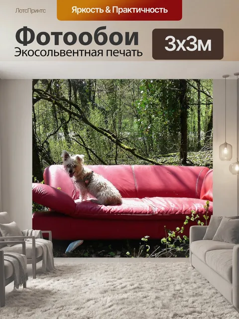 Фотообои Красный диван