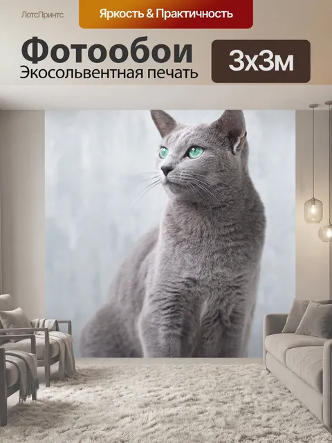 Фотообои Русская голубая