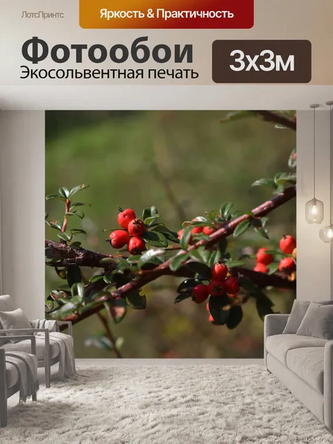 Фотообои Терновник