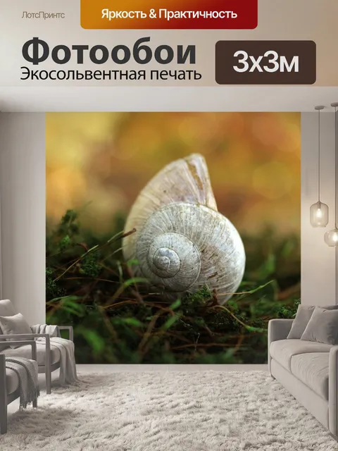 Фотообои Раковина улитки моховый лес