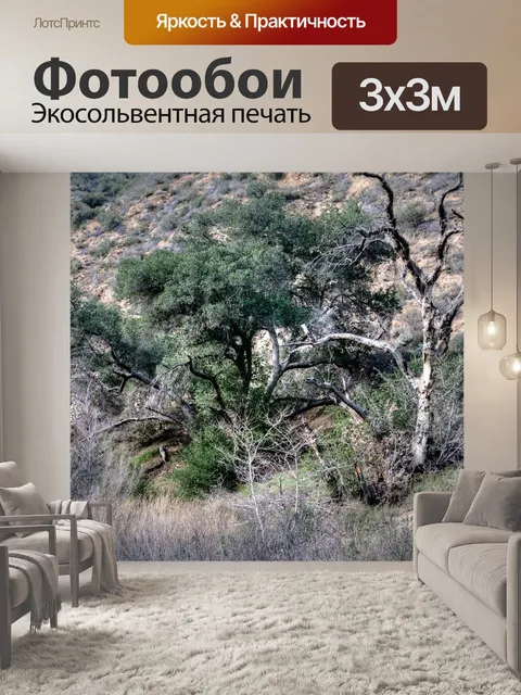 Фотообои Деревья на горе