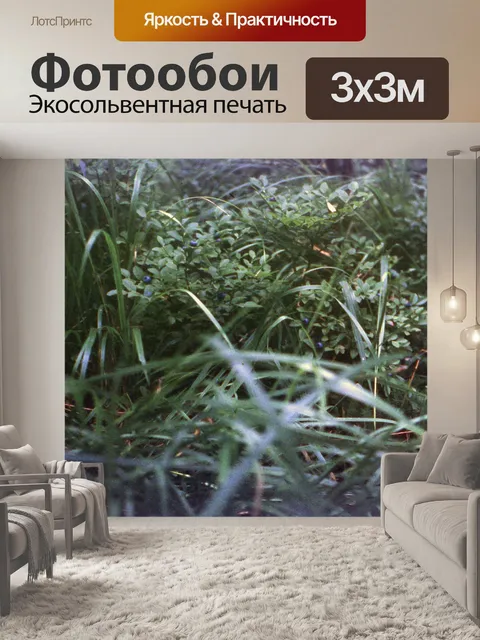 Фотообои Черника в лесу