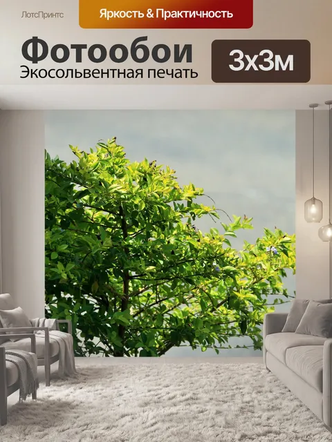 Фотообои ярко-зеленый кустарник