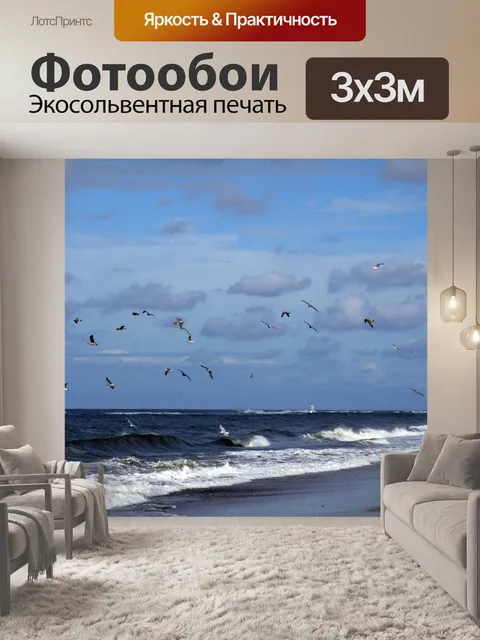 Фотообои Полет Чайки