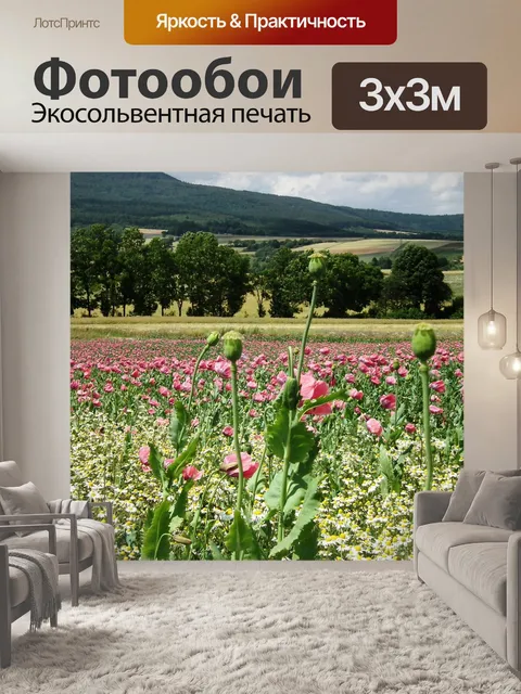 Фотообои Маки