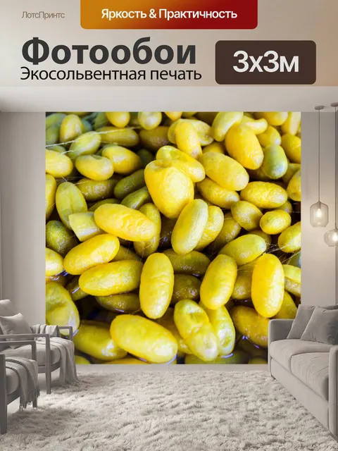 Фотообои Шелкопряд ест листья шелковицы
