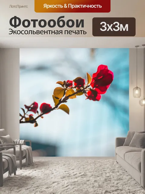 Фотообои Небо