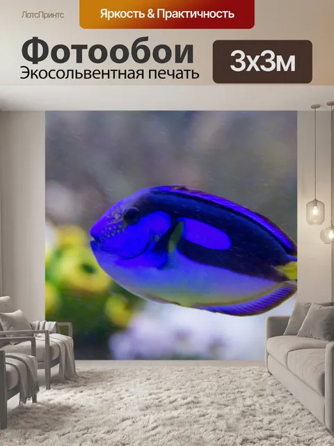 Фотообои синяя рыба