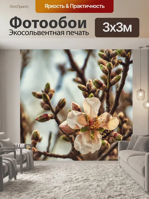 Фотообои Миндальное дерево