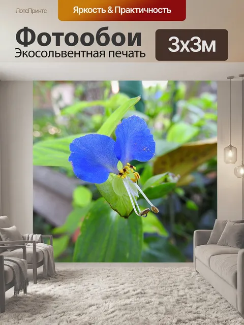 Фотообои Лилия