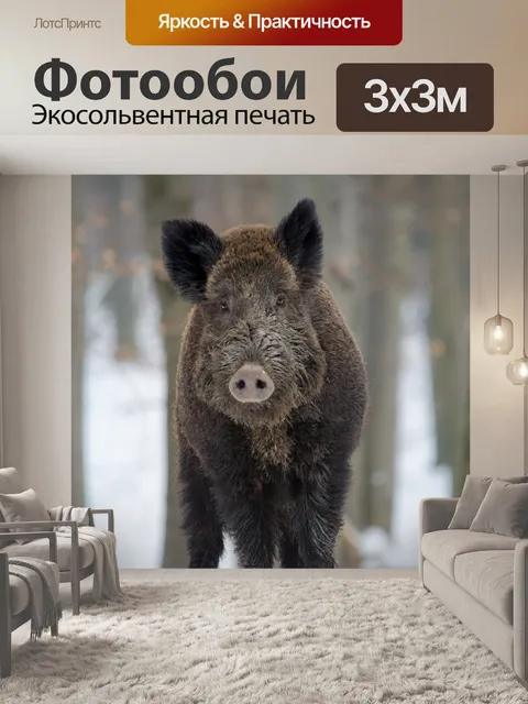 Фотообои Дикий кабан