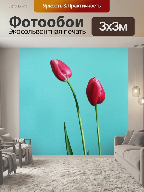 Фотообои Две красные тюльпаны