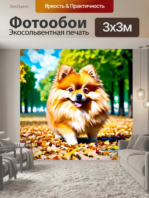 Фотообои огромный померанский шпиц, играющий в парке в солнечный день, окруженный поднятыми листьями