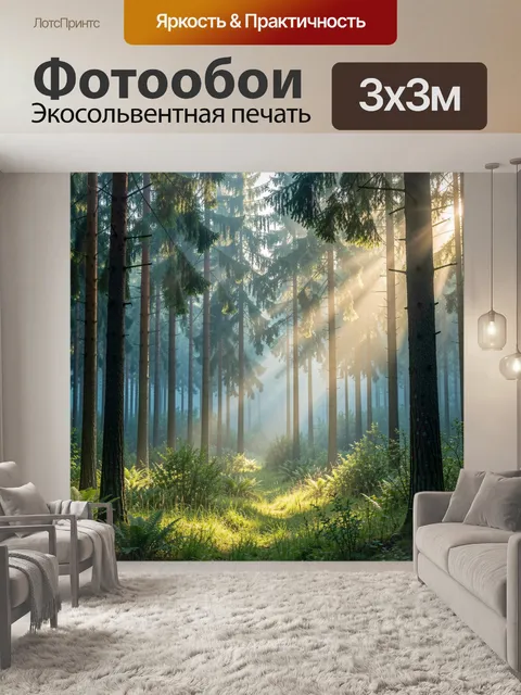 Фотообои Солнечные лучи в хвойном лесу