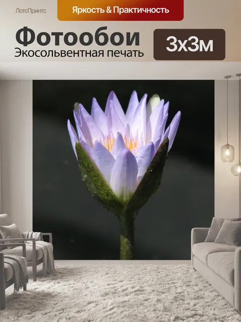 Фотообои Водяная лилия