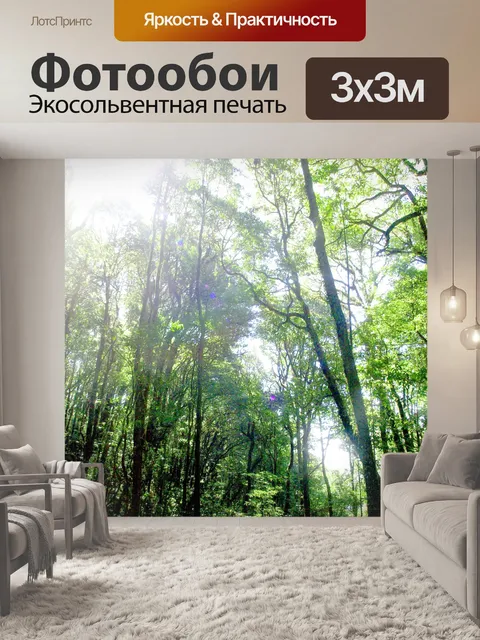 Фотообои Природа тропический лес дои Интанон наци
