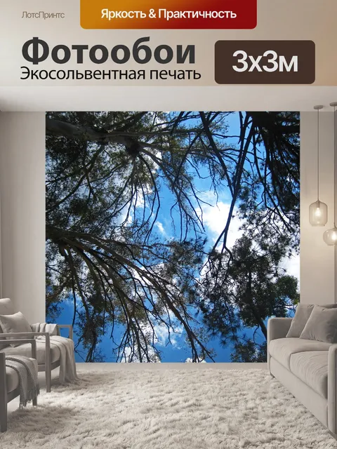 Фотообои вид сверху на высокий эвкалипт