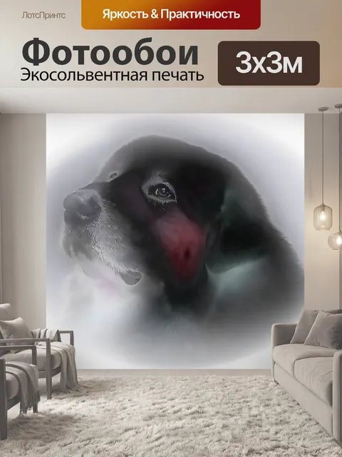 Фотообои Собака